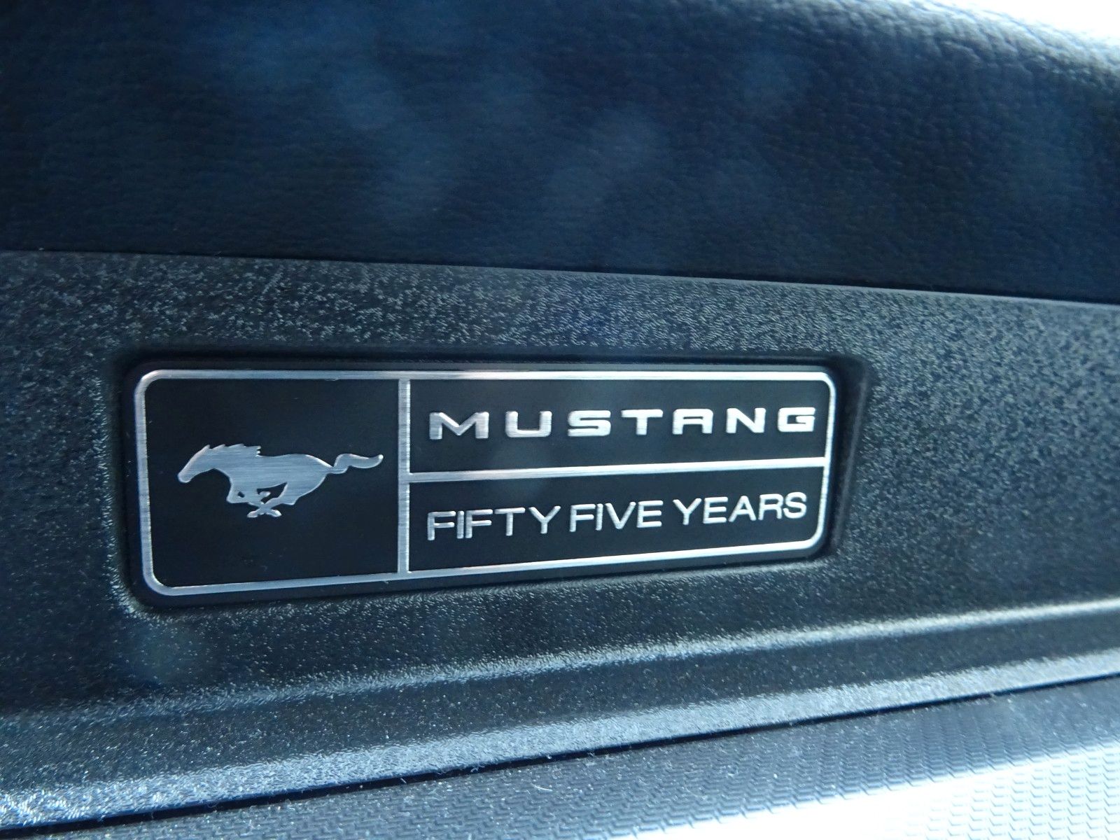 Fahrzeugabbildung Ford Mustang GT V8 WOLF