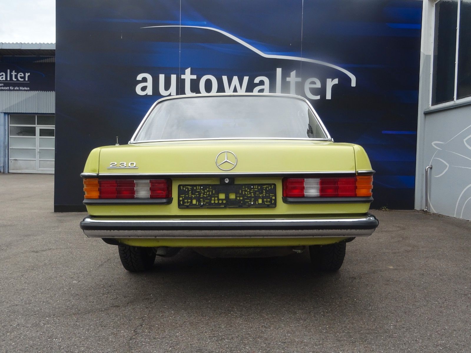 Fahrzeugabbildung Mercedes-Benz 230