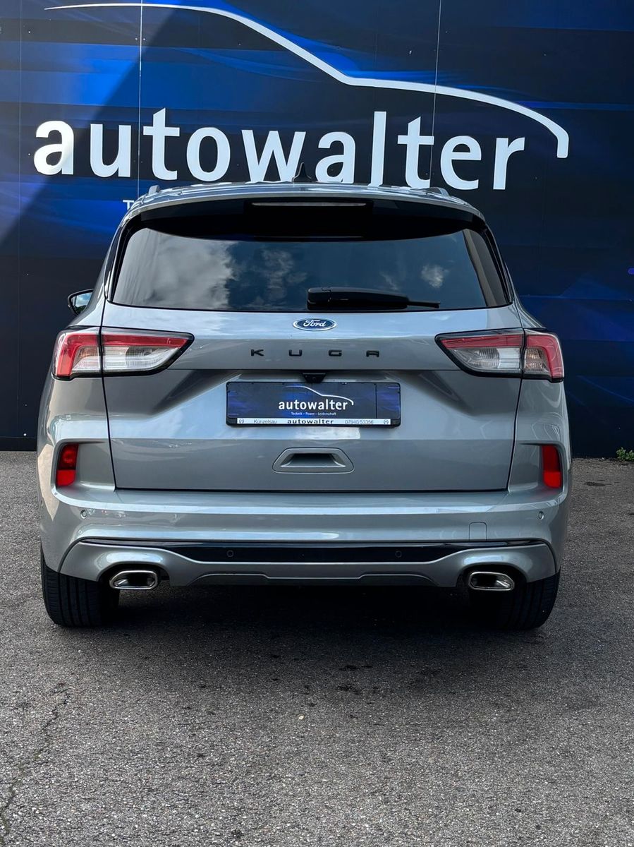 Fahrzeugabbildung Ford Kuga Hybrid ST-Line X,AHK abnehmbar,
