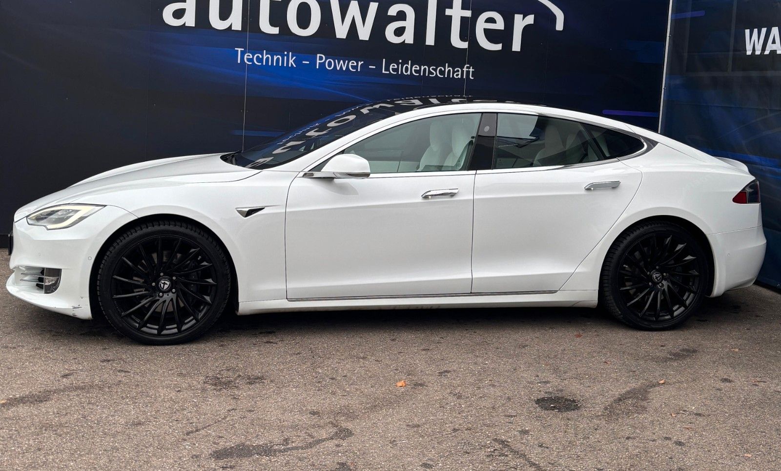 Fahrzeugabbildung Tesla Model S