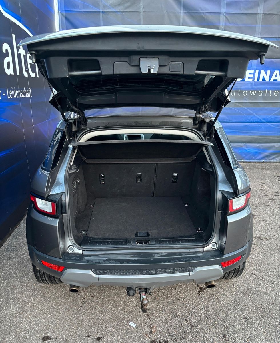 Fahrzeugabbildung Land Rover Range Rover Evoque Pure,panodach