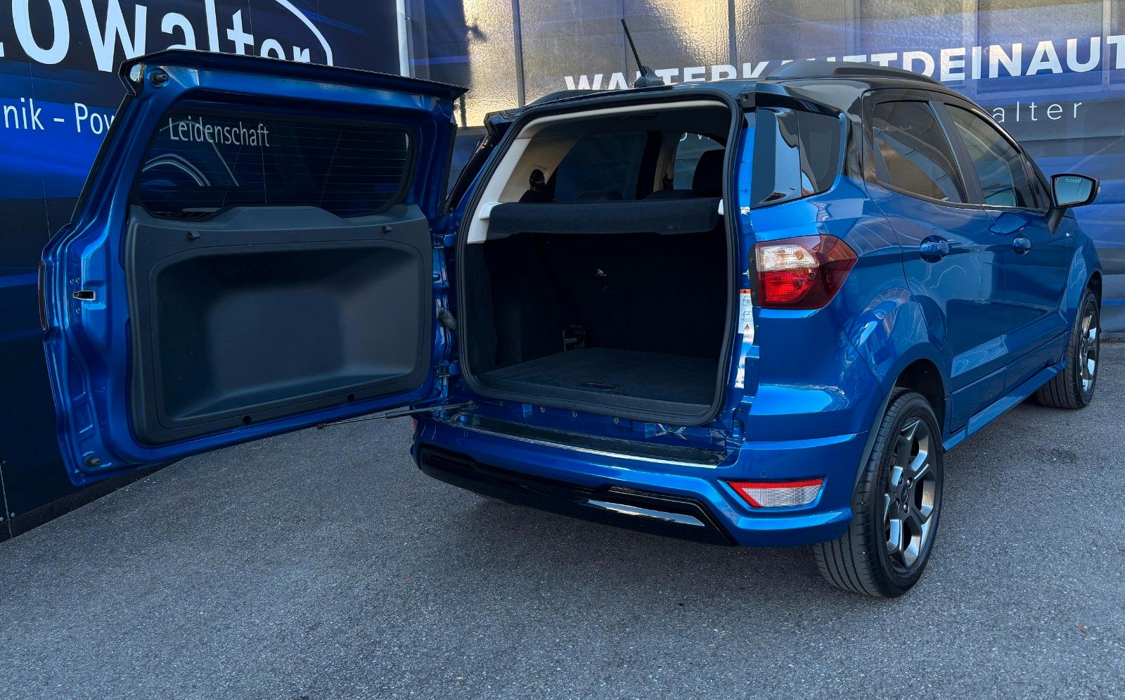 Fahrzeugabbildung Ford EcoSport ST-Line,Kamera