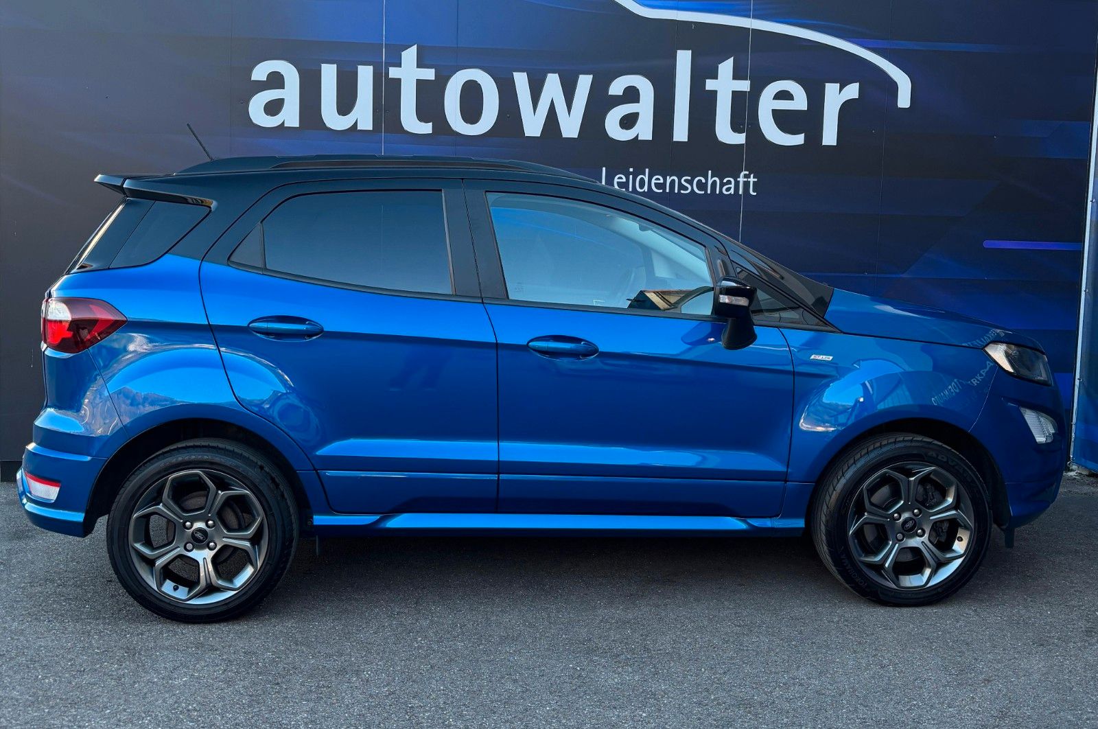 Fahrzeugabbildung Ford EcoSport ST-Line,Kamera