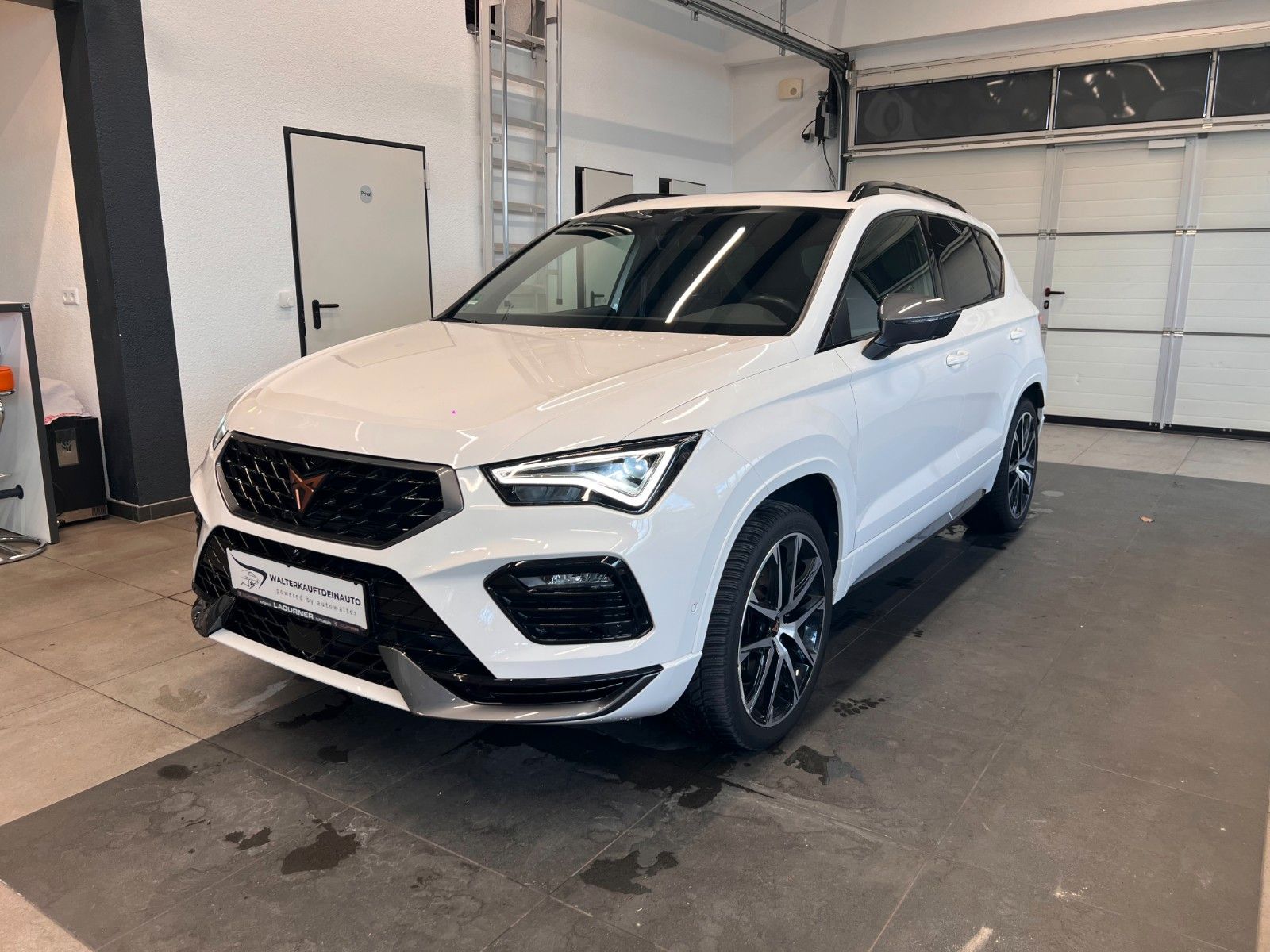Fahrzeugabbildung CUPRA Ateca 4Drive*AHK*Pano*