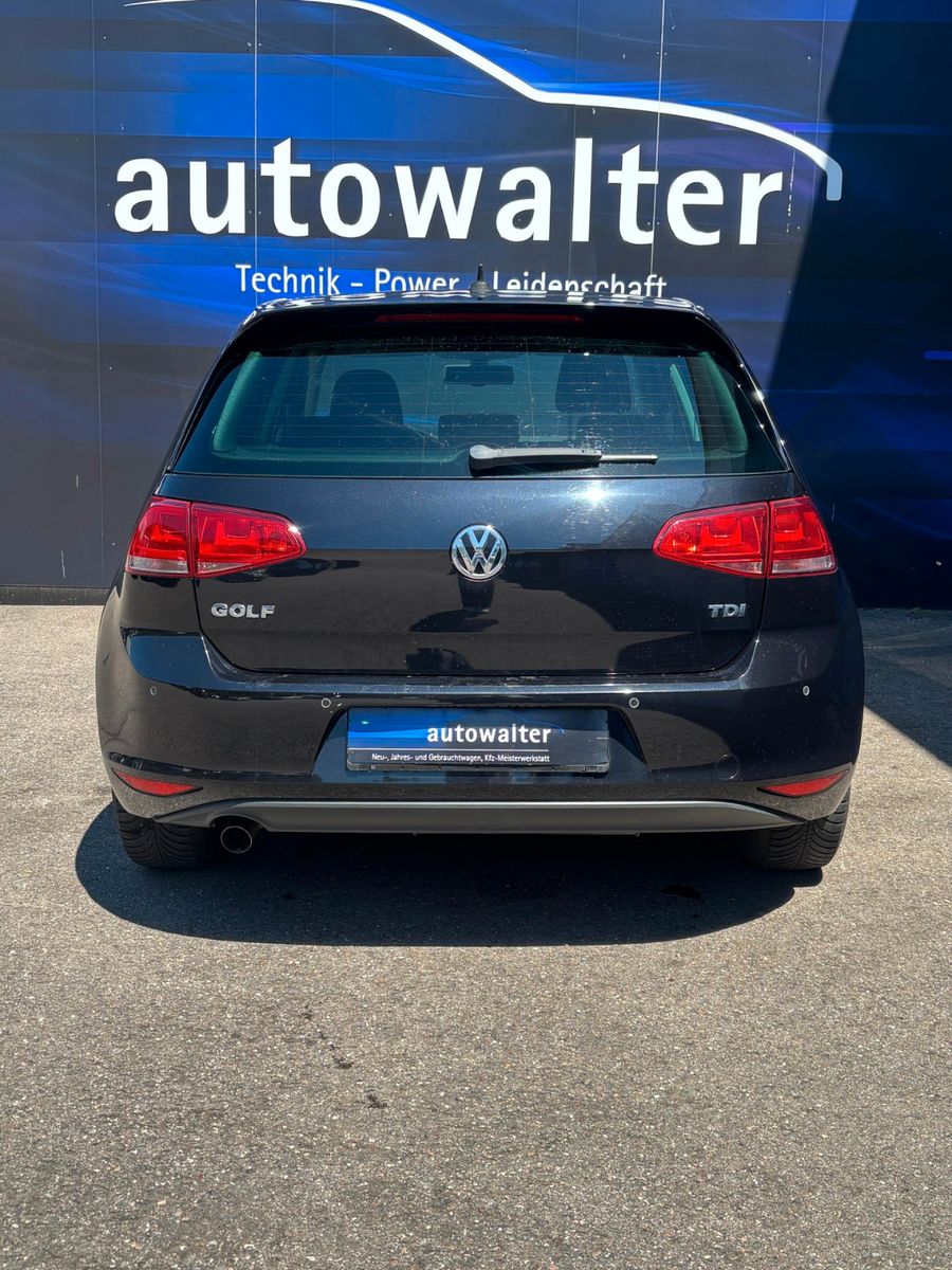 Fahrzeugabbildung Volkswagen Golf VII Lim. Trendline BlueMotion