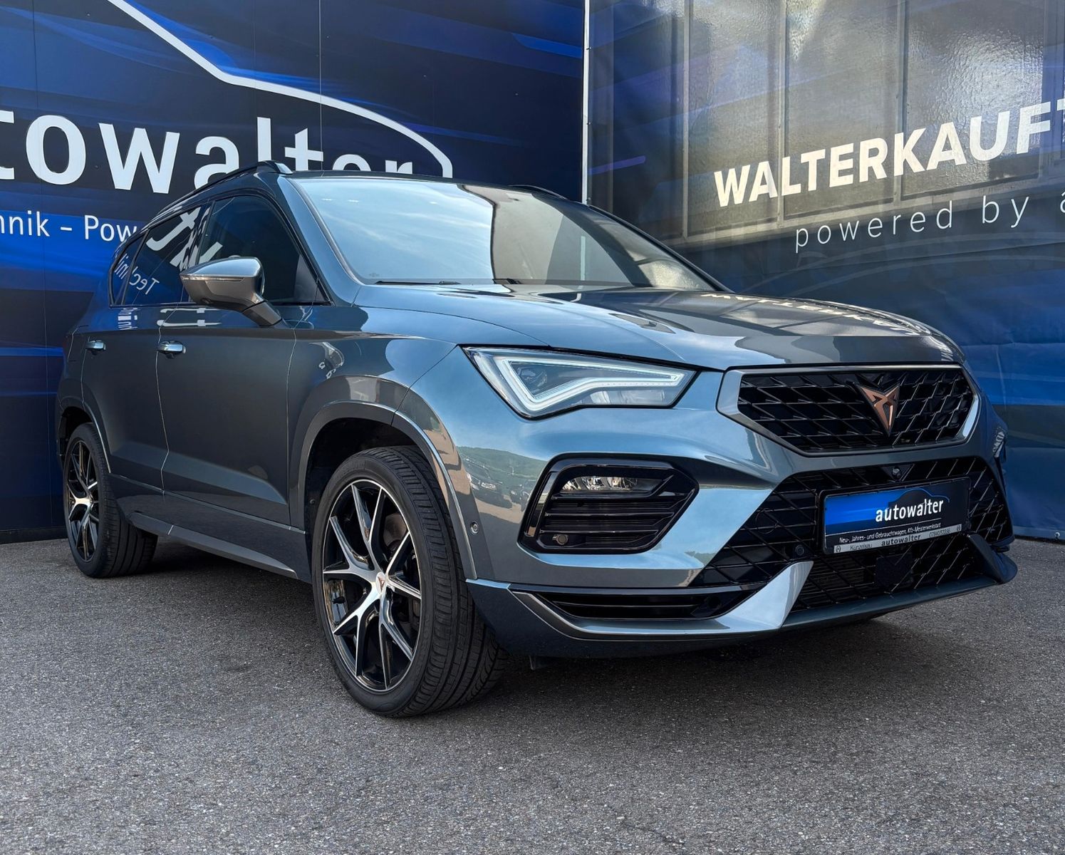 Fahrzeugabbildung CUPRA Ateca Basis 4Drive- Service neu